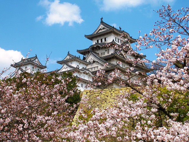 姫路城の桜 (Cherry Blossoms at Himeji Castle)