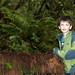 nick investigating a gigantic redwood stump in the heritage grove