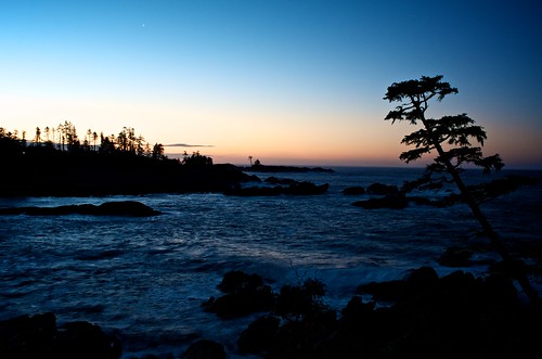 ocean sunrise resort blackrock oceanfront