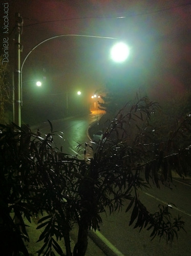 street mist apple water leaves rain fog landscape march loneliness sad streetlamp depression depressed lonely oleander disappointment humidity abruzzo chieti iphone disappoint seasonalaffectivedisorder iphone4