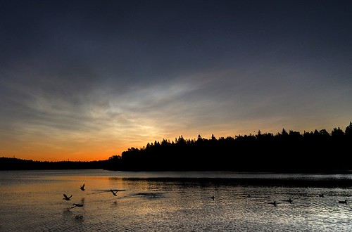 sky lake nature water birds sunrise landscape nikon d300 tokina1224mmf4atxprodx