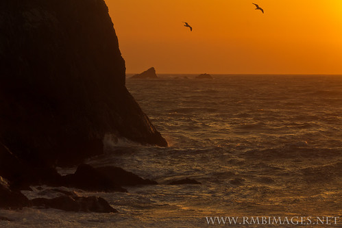 ocean california sunset sea orange water birds contrast waves goatrock sonomacoast flickrdiamond rmbimages