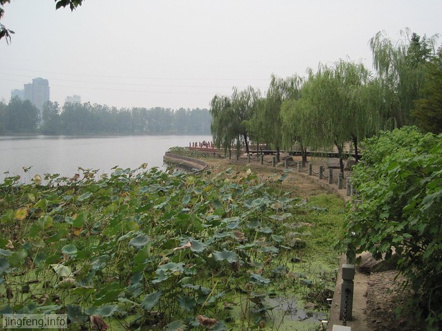婺江公园