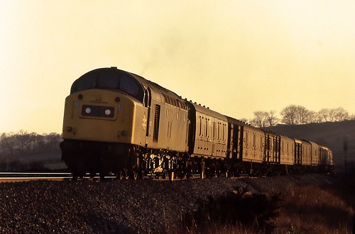 40172 class40 newtonhall durham parcels diesel locomotive railways trains sunset sydyoung sydpix