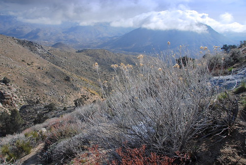 california landscape nevada peak sierra mayan pct