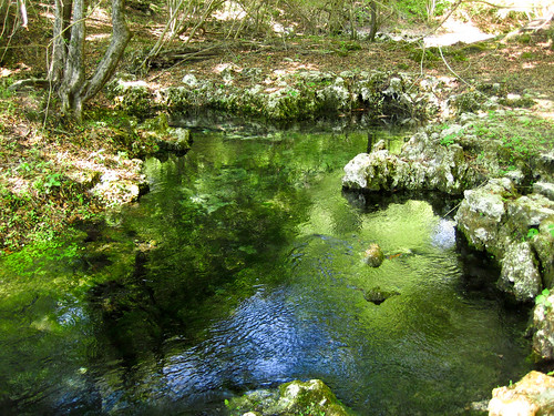 water river spring florida clear springs limestone freshwater suwannee suwanneebluespring
