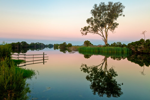 sunset reflection tree fall water canon river landscape sale victoria hdr goldenhour gippsland morass 24105mm 5dmkii