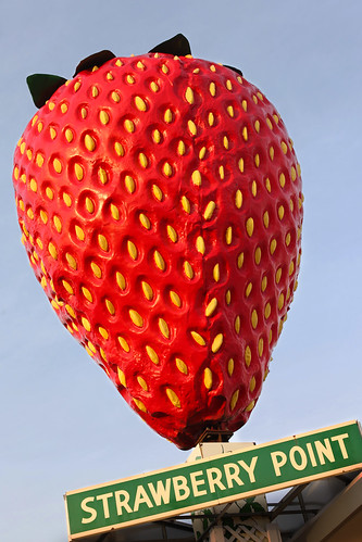 fruit strawberry berry iowa day100 worldslargest strawberrypoint 2011yip 3652011 2011inphotos mfhiatt ©2011michaelfhiatt