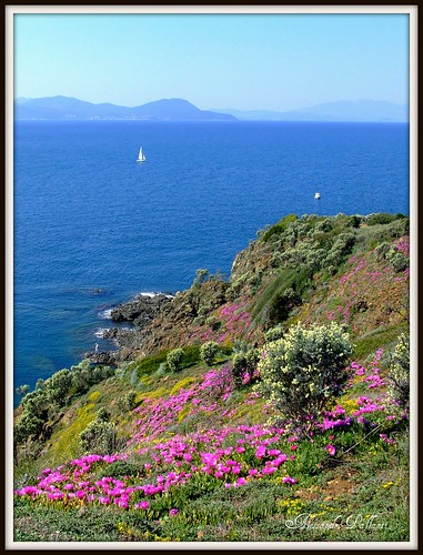 piombino fuji5600 piombio