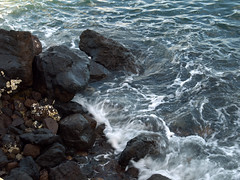 Waves on Rocks at Mission Bay