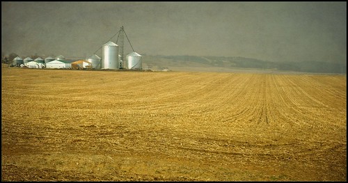 rural cornfield nikon farm country iowa d90 skeletalmess