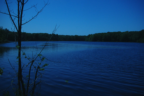 lake water michigan campground allegan fennville elylake