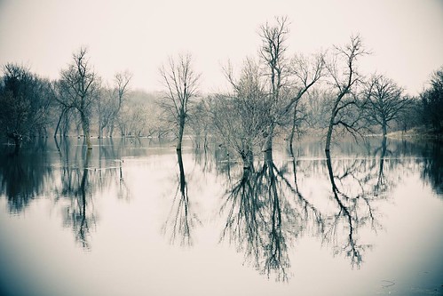 morning trees reflection wet water rural river landscape early spring still flooding flickr flood cloudy country scenic peaceful tint calm valley vignette facebook dormant onlythebestofnature