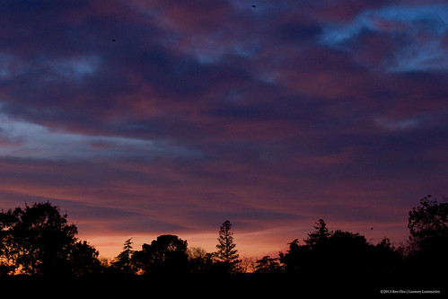 ca sunset davis 2011