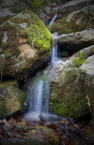 usa water canon woodland rebel xt virginia waterfall moss spring woods rainyday stones roanoke digitalrebel starkey mossystones