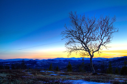 blue sunset sky orange sun mountain tree nature yellow norway spring nikon horizon birch 1855mm hdr 3xp d3100