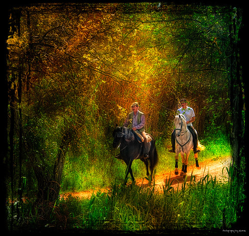 horses people pets geotagged caballos golden gente paintings olympus textures retouch gent cavalls retoque retoc specialtouch quimg quimgranell joaquimgranell mygearandme afcastelló obresdart
