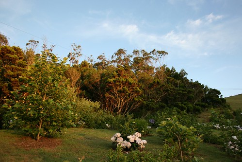 sunset garden santamaria azores