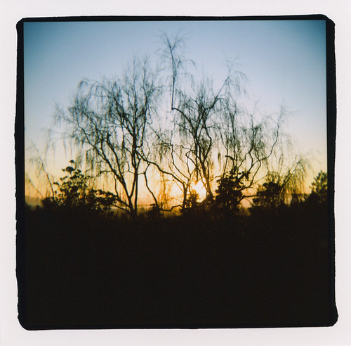 ca sunset film berkeley holga baretrees indianrock kodakportra400 autaut lookingouttothebay