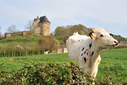france castle cow ballon maine château 72 vache burg sarthe