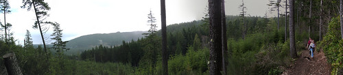 panorama mountain green hiking carmen crichton aeryn