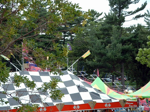 carnival trees tree pinetree wisconsin festive fun ride cloudy flag overcast slide scooter flags entertainment evergreen greenery rides midway bumpercars countyfair majestic wi amusements carnivalride wausau superslide giantslide amusementride funslide fairride wisconsinvalleyfair marathoncounty mechanicalride marathonpark wausauwi miniindy amusementdevice carnivalslide majesticrides majesticmanufacturing farrowshows