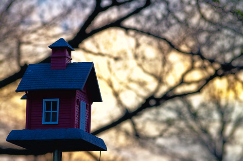 sunset red house backyard birdhouse sigma 70300mm