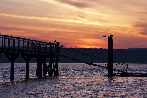 sunset sea seagulls beach water birds silhouette pier washington shore pugetsound roost hansville kitsappeninsula twinspits