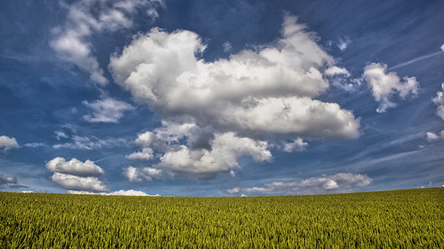 summer sky field clouds germany corn sommer wheat feld mettmann weizen cloudsstormssunsetssunrises