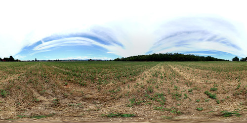 summer panorama field estate outdoor pano immersive campo spherical equirectangular 360cities equirettangolare
