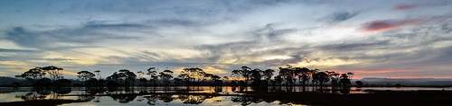 trees light sunset newzealand sky lake clouds dusk napier hawkesbay watchman westshore