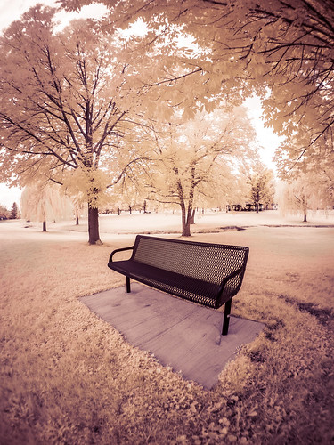 park trees summer sky orange nature grass leaves wisconsin bench landscape ir concrete chair unitedstates seat monroe infrared converted lonely toned 2014 falsecolor splittoned twining m43 infraredcamera greencounty lonelybench monoe micro43 microfourthirds 665nm 665nminfrared