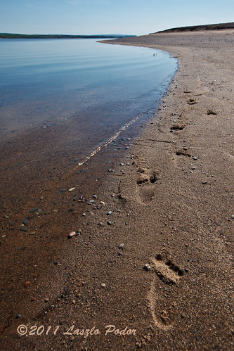 canada beach water island coast sand novascotia sandy shore footsteps bigisland gettyimagescanada