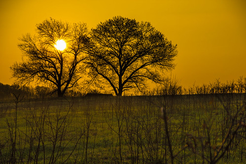 sunset landscape unitedstates pacific missouri missouribotanicalgardens shawnaturepreserve habitatsandlandscapes philipleara