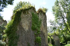 château de Lavauguyon ruins - Photo of Mouzon