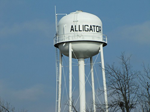 sky mississippi town funny small watertower delta alligaor