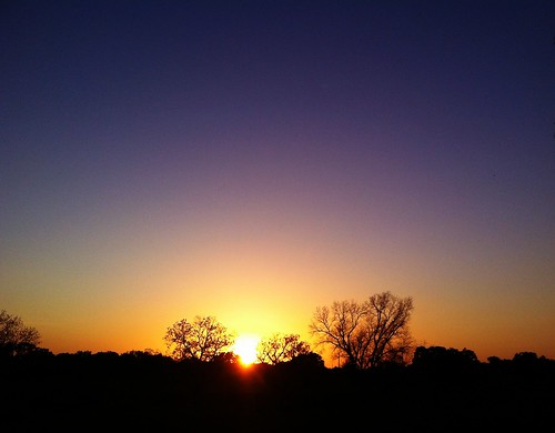 trees sunset dark texas shadows horizon
