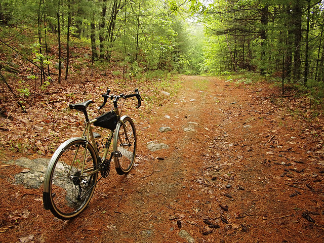 Gas Line Trail