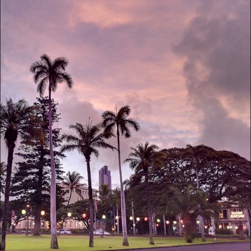 pink favorite usa tree mobile sunrise square hawaii king phone unitedstates oahu favorites kingdom palace palm queen capitol palmtree squareformat honolulu hdr monarchy territory territorial iphone seasonsgreetings bsquare iolani 111v1f iolanipalace insta nationalcapitol territorialcapitol iphone4 truehdr iphoneography instatag instagram instagramapp uploaded:by=instagram foursquare:venue=230817 geotaggedhawaii