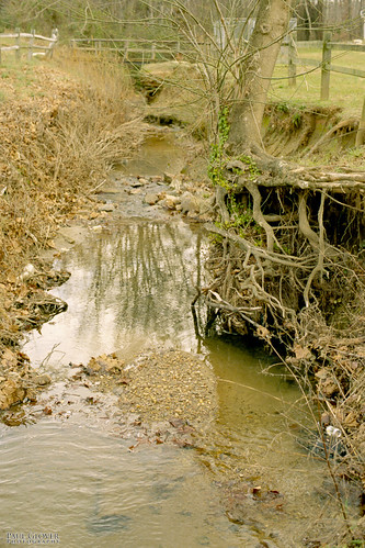 bridge trees usa film water analog creek 35mm landscape virginia stream roots gretna brook 135 canonf1