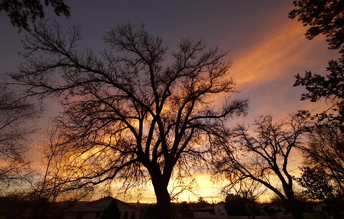 trees sunset sky newmexico colors clouds sunrise landscape lumix g1 f4 socorro vario 714mm “flickraward”