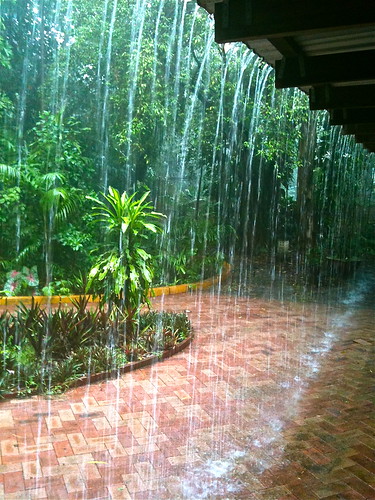 shower australia darwin monsoon rapidcreek northernterritory wetseason