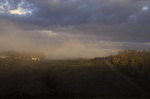 mist clouds sunrise landscape nuvole alba hills vineyards tuscany nebbia toscane vigne paesaggio colline