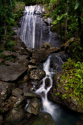 fall water forest river waterfall rainforest puertorico tropical elyunque tropics lacocafalls