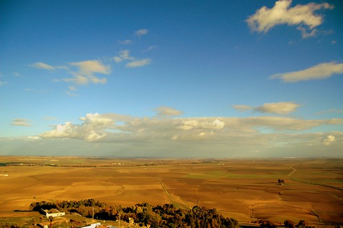 landscape paisaje andalucia campiña carmona krajobraz