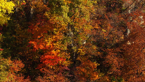 autumn miyagi tohoku naruko narukokyo a55v