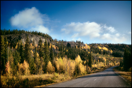 road autumn sky mountain fall clouds forest sweden ruska norrbottens 24kmwofbjorkliden
