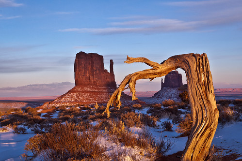 sunset tree nature landscape getty navajo monumentvalley 2470l navajotribalpark newvision canon2470l flickraward canoneos5dmkii canoneos5dmkll flickraward5 mygearandme mygearandmepremium mygearandmebronze mygearandmesilver mygearandmegold peregrino27newvision