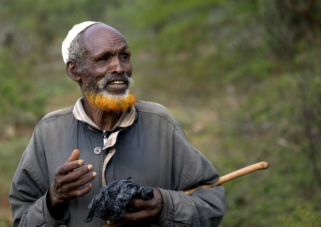 Navigating the Geography of Beards – National Geographic Education Blog