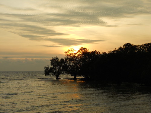 sunset sea sun water pd portdickson negerisenbilan